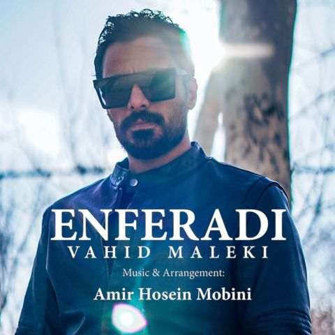 دانلود آهنگ وحید ملکی به نام ریمیکس انفرادی